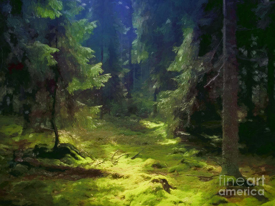 Foggy Dark Forest Mural Wallpaper - Murals Your Way