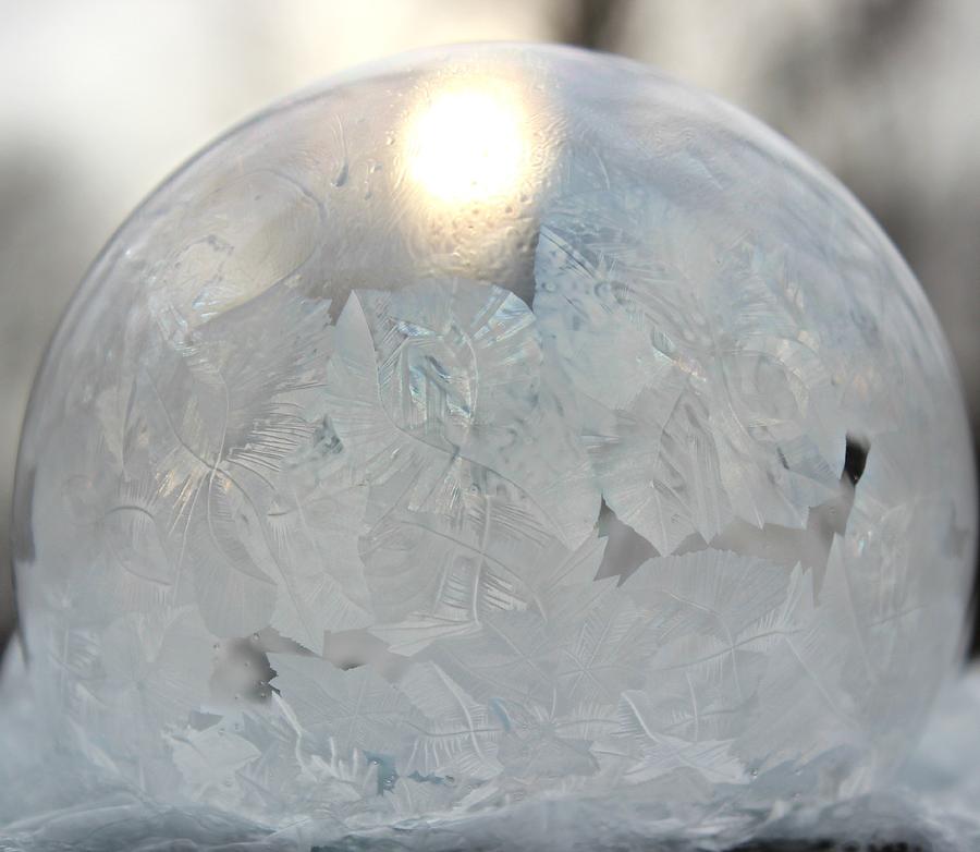 Cold Photograph - Deep Freeze by Candice Trimble Cold Photograph - Deep Freeze by Candice Trimble