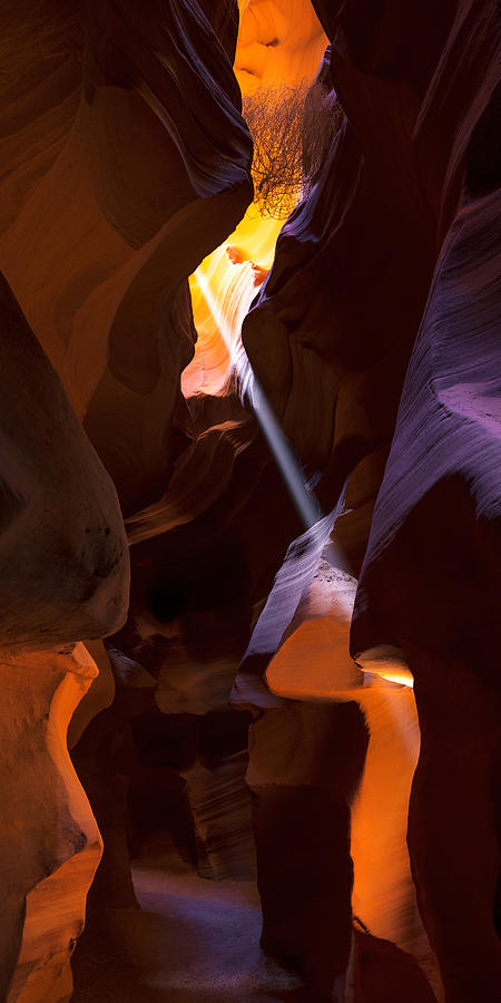 Deep in Antelope Photograph by Chad Dutson