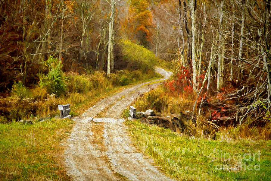 Fall Photograph - Deep in the Woods by Deborah Benoit