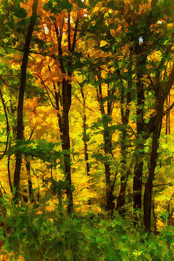 Deep in the Woods of the Great Smoky Mountains National Park Painting by John Haldane