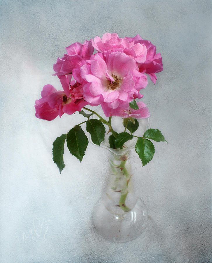 Fragrant Deep Pink Roses in a Clear Glass Vase Still Life Photograph by Louise Kumpf