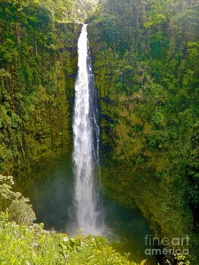 Akaka Water Falls Hawaii Photograph by Cheryl Cutler