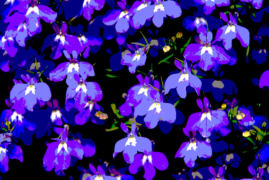 Flower Photograph - Deep Purple Dream  by Norma Brock