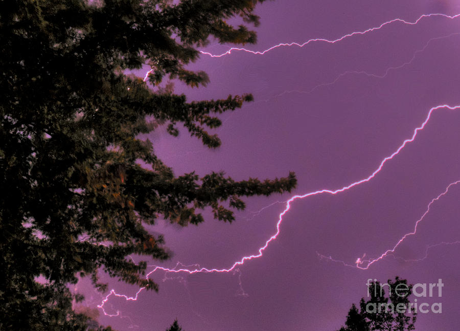 Deep Purple Lightning Strokes Photograph by Deborah Smolinske