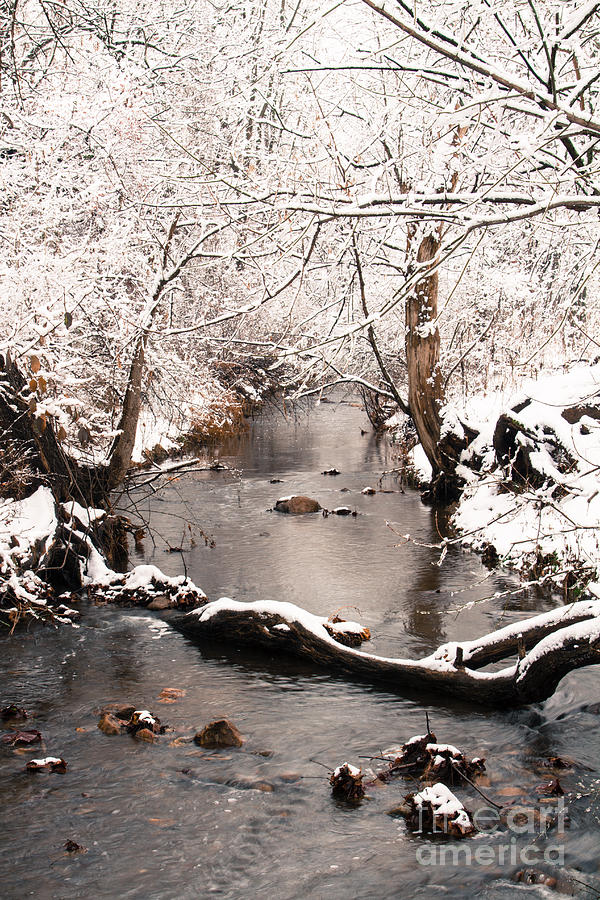 Deep Run In Winter 2 Photograph by Chris Scroggins