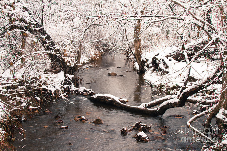 Deep Run In Winter Photograph by Chris Scroggins