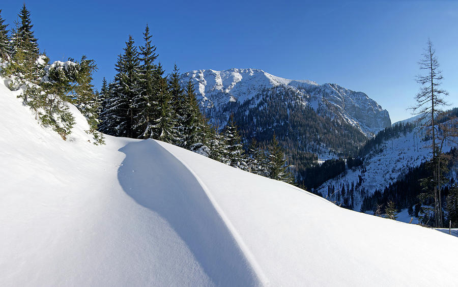 Deep Snow Trekking Photograph by Twilight Tea Landscape Photography