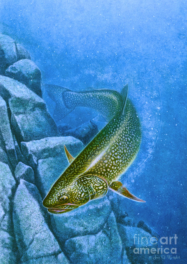 Deep Water Lake Trout  Painting by JQ Licensing