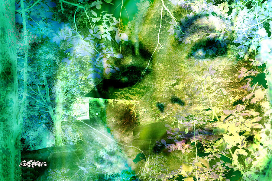 Melancholy Digital Art - Deep Woods Wanderings by Seth Weaver Melancholy Digital Art - Deep Woods Wanderings by Seth Weaver