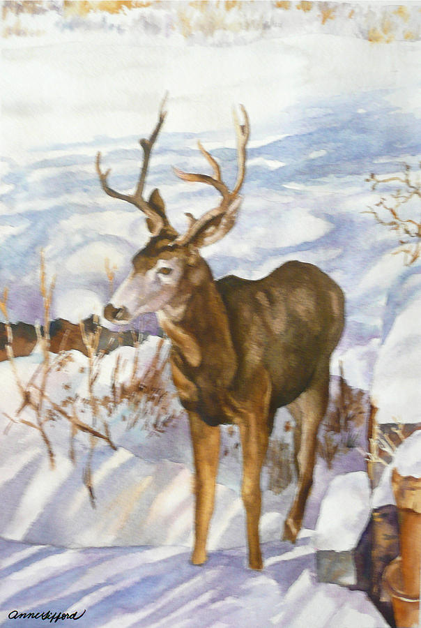 Deer at Bobs House Painting by Anne Gifford