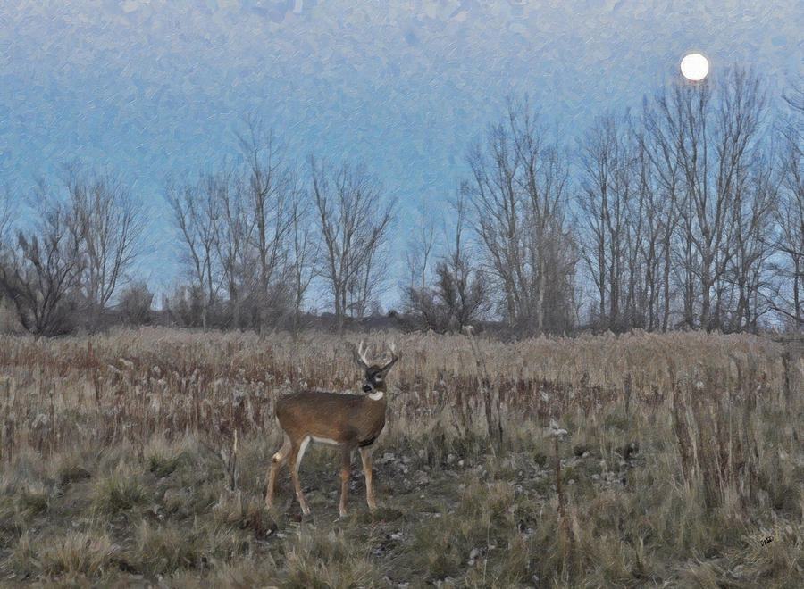 Deer at dusk in field Painting by Dean Wittle