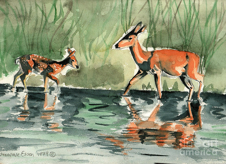 Deer At The River Painting by Genevieve Esson