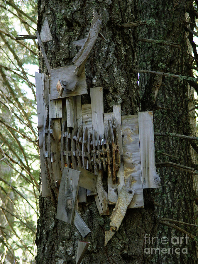 Deer Photograph - Deer Blind 01 by Peter Piatt