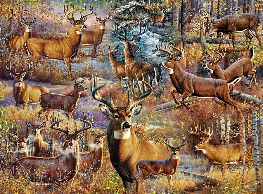 Deer Painting - Deer Collage by JQ Licensing