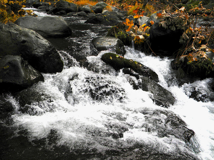 Waterfall Photograph - Deer Creek by Frank Wilson