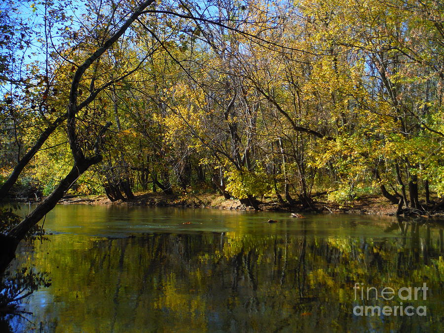 Autumn River Photograph - Deer Creek In Autumn by Paddy Shaffer