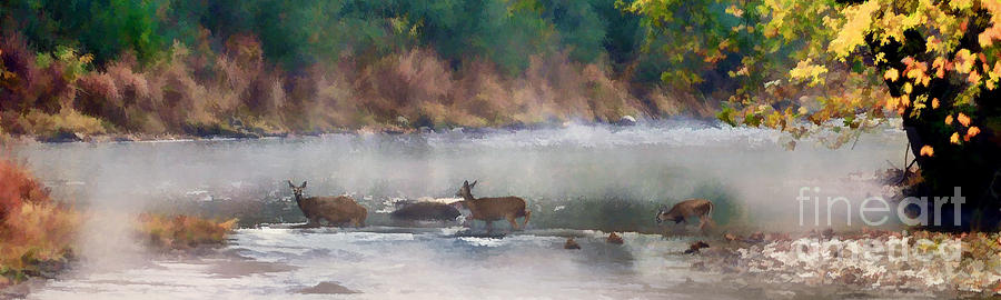 Deer crossing stream panoramic Photograph by Dan Friend