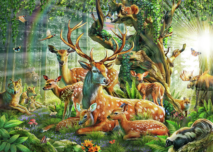 Deer Family in the Forest Drawing by MGL Meiklejohn Graphics Licensing