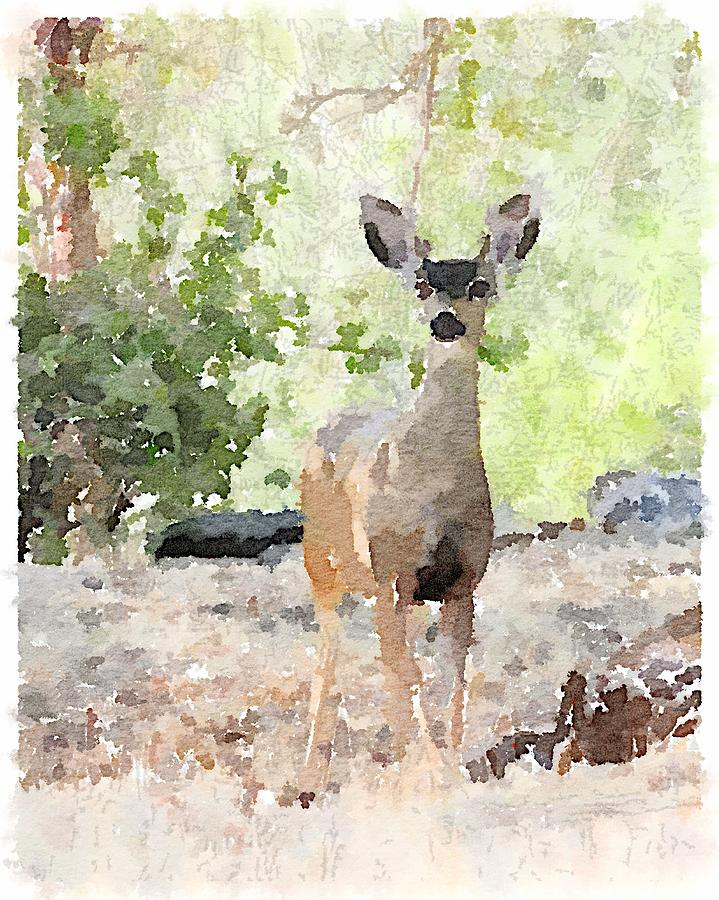 Deer Friends Digital Art by Shannon Grissom