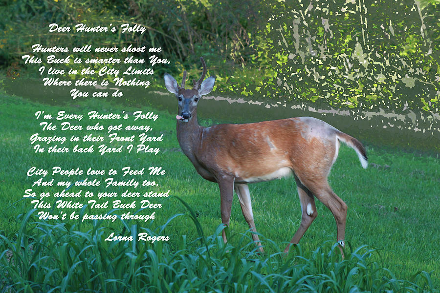 Deer Hunters Folly Photograph by Lorna Rose Marie Mills DBA  Lorna Rogers Photography