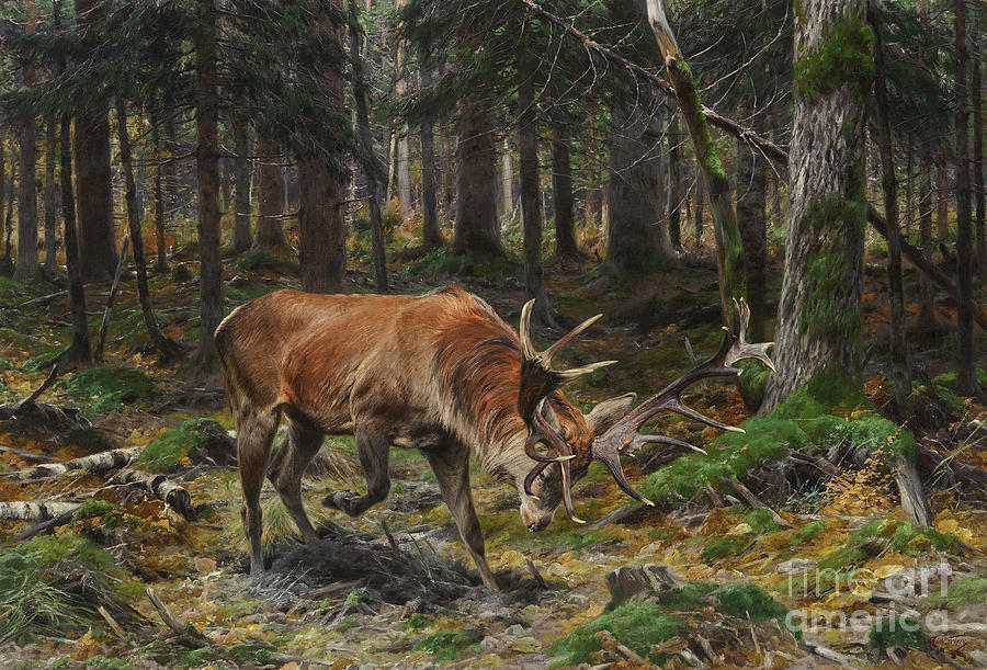 Deer in a Forest Glade Painting by Celestial Images