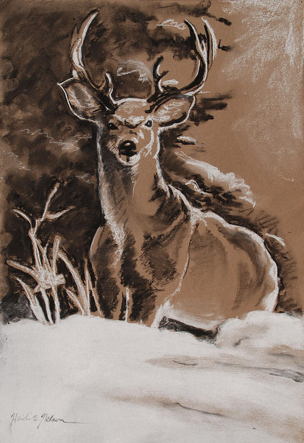 Deer in Snow Drawing by Heidi E Nelson