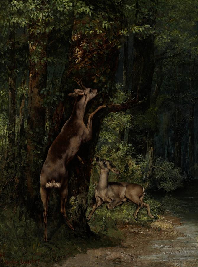 Deer in the Forest Painting by Gustave Courbet