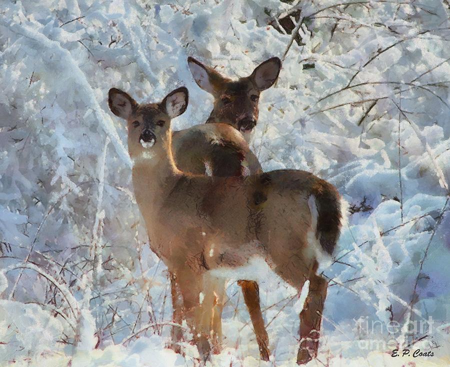 Deers in Winter, Snow, Deer, Winter, Paintig, HD wallpaper
