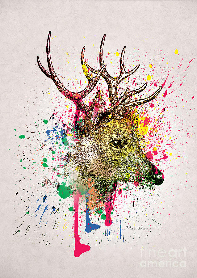 Deer Painting - Deer  by Mark Ashkenazi