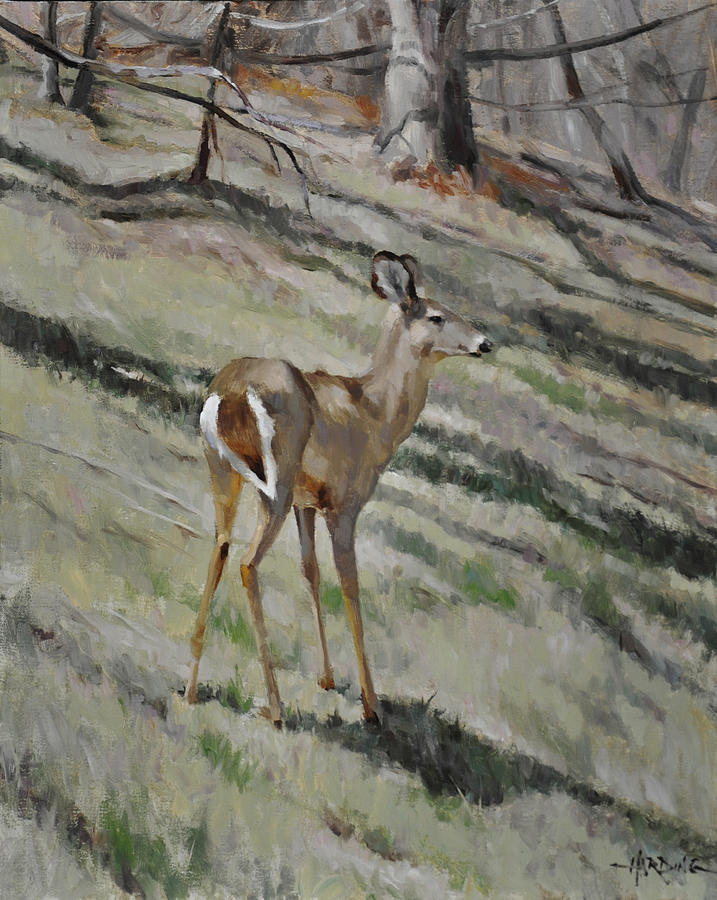 Deer Painting - Deer on Hillside by Scott Harding