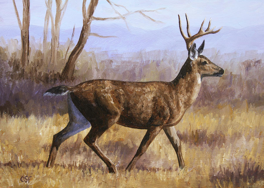 Deer Painting - Trotting Buck Painting by Crista Forest