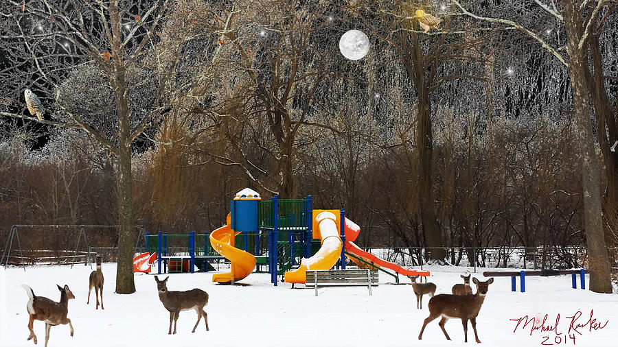 Deer Park Photograph by Michael Rucker