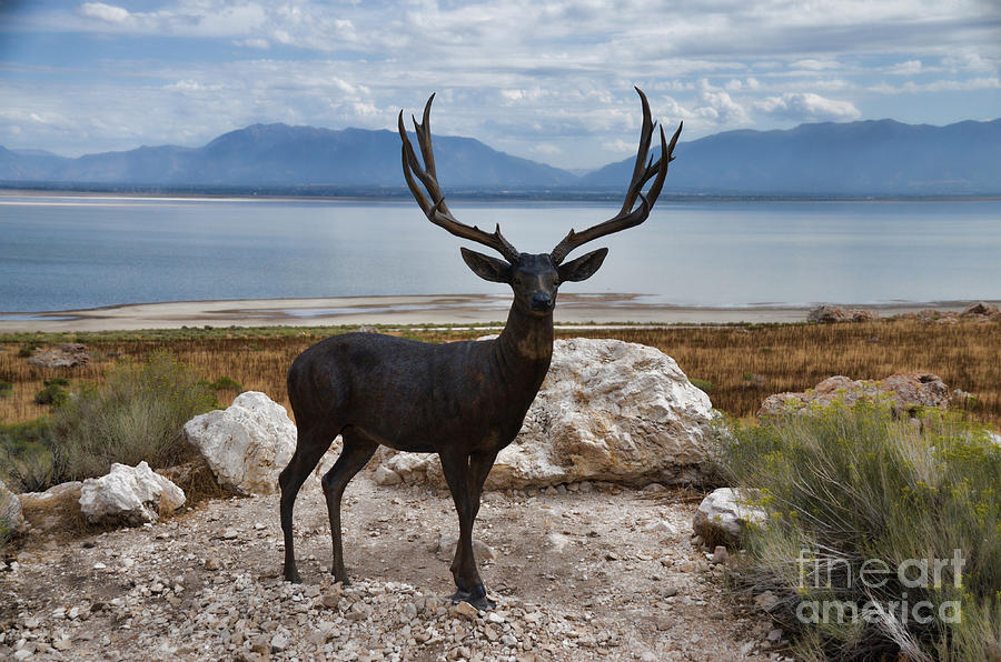 Deer Statute on Antelope Island  Photograph by Donna Greene