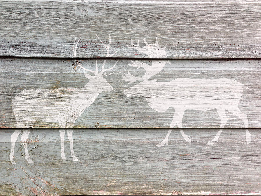 Deer Talk Digital Art