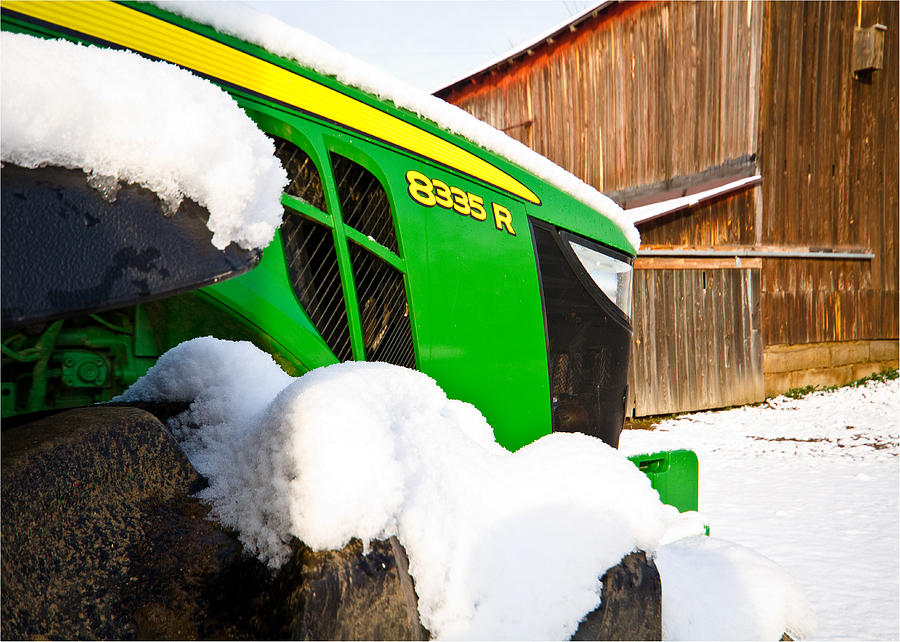 Deere in Snow Photograph by Tim Fitzwater