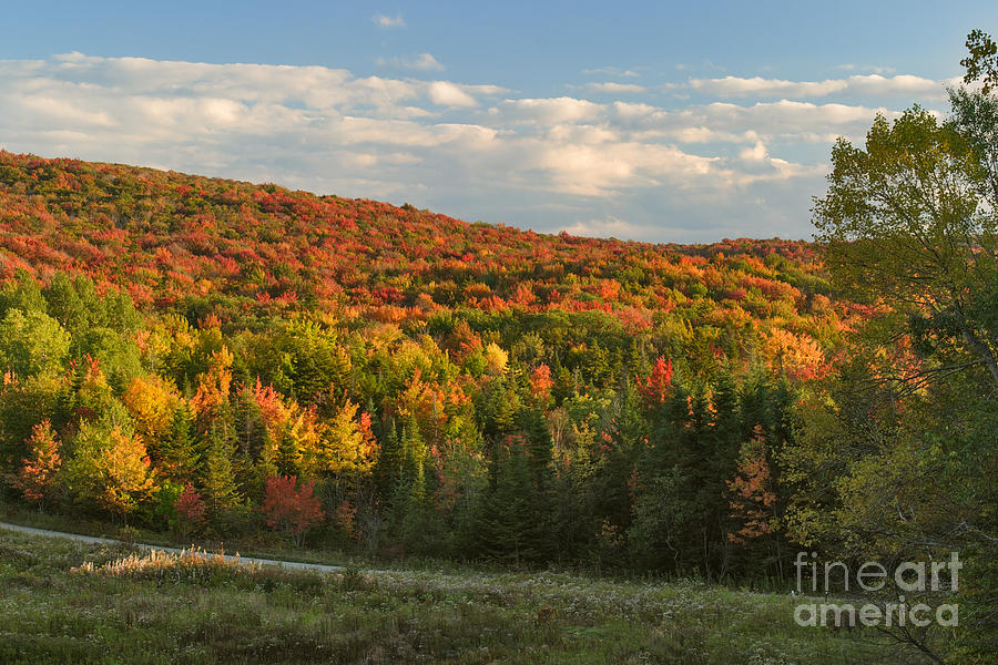 Fall Photograph - Deerfield Valley Colors by Charles Kozierok