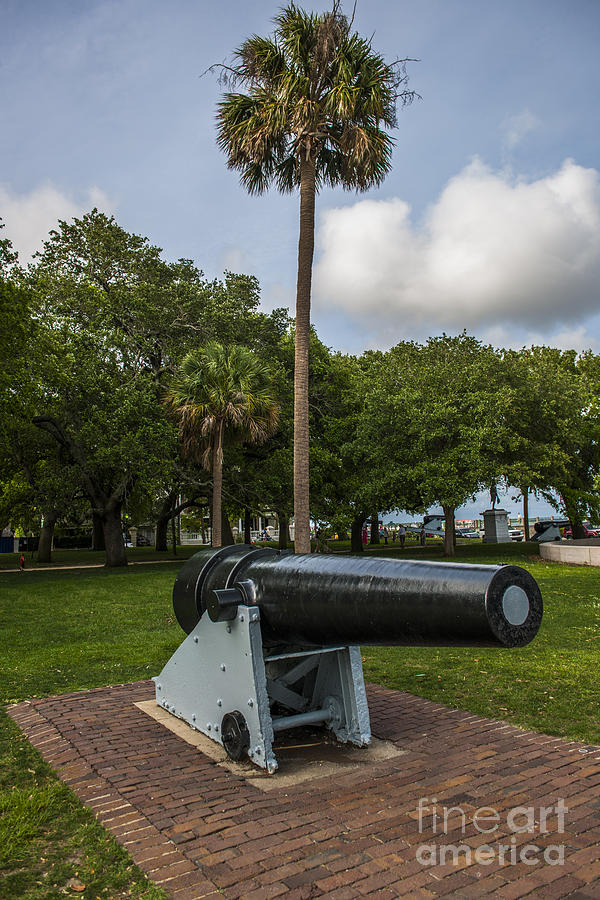 Defending The Battery Photograph