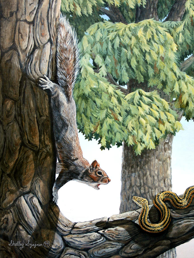 Wildlife Painting - Defending the Nest by Shelley Shayner Wildlife Painting - Defending the Nest by Shelley Shayner