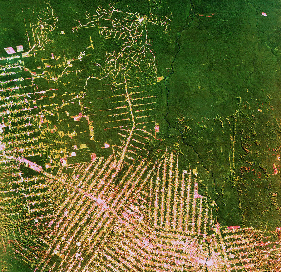 Deforestation In Brazil Photograph by Nrsc Ltd/science Photo Library