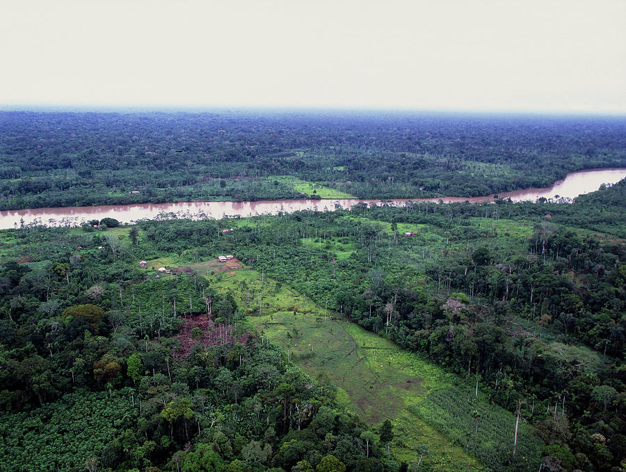 Deforestation In Rainforest By Ecuadorian Amazon Photograph by Dr Morley Read/science Photo Library