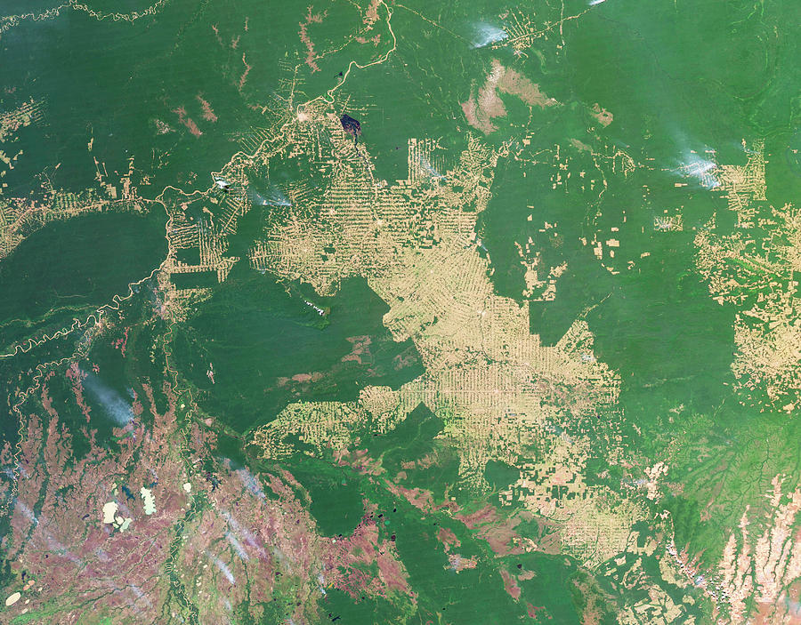 Deforestation In The Amazon Photograph by Nasa Earth Observatoryscience Photo Library