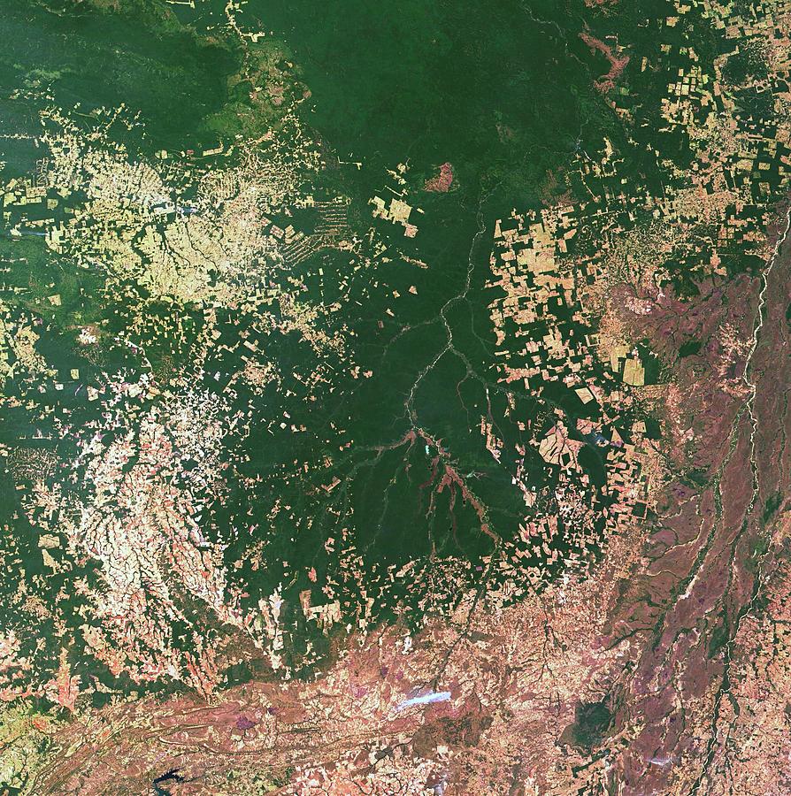 Deforestation Photograph by Nasa/science Photo Library