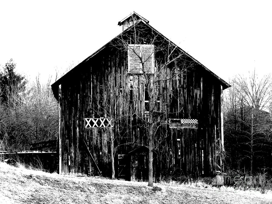 Defunct Barn 2 Photograph by Michael Krek