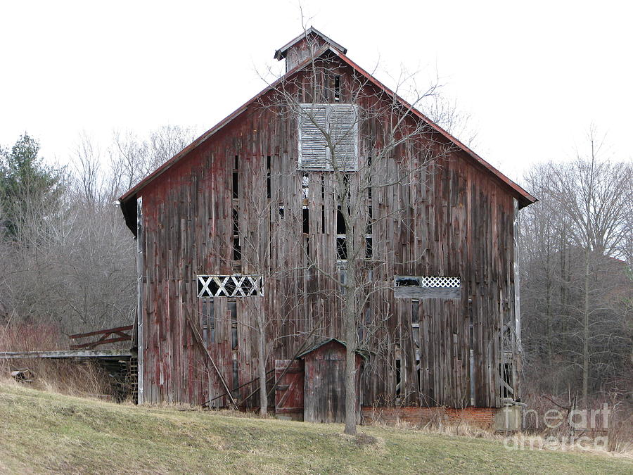 Defunct Barn Photograph by Michael Krek