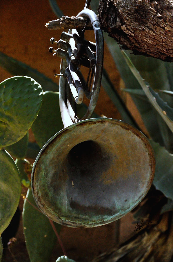 DeGrazia Garden Instruments Photograph by Mark Valentine