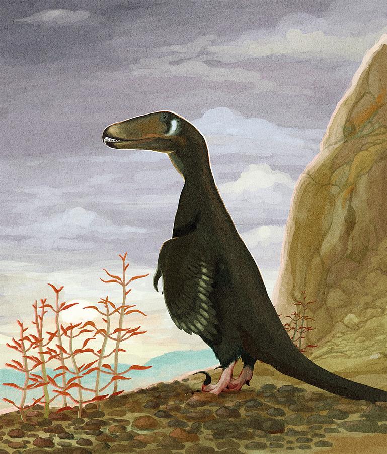 Prehistoric Photograph - Deinonychus Dinosaur by Nemo Ramjet