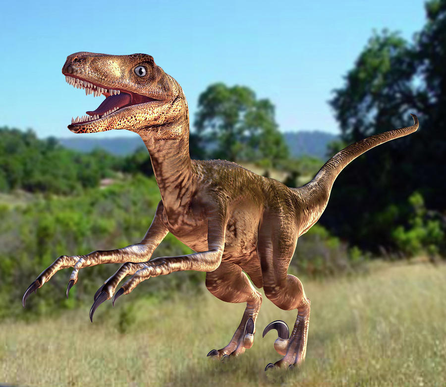 Deinonychus Dinosaur Photograph by Roger Harris