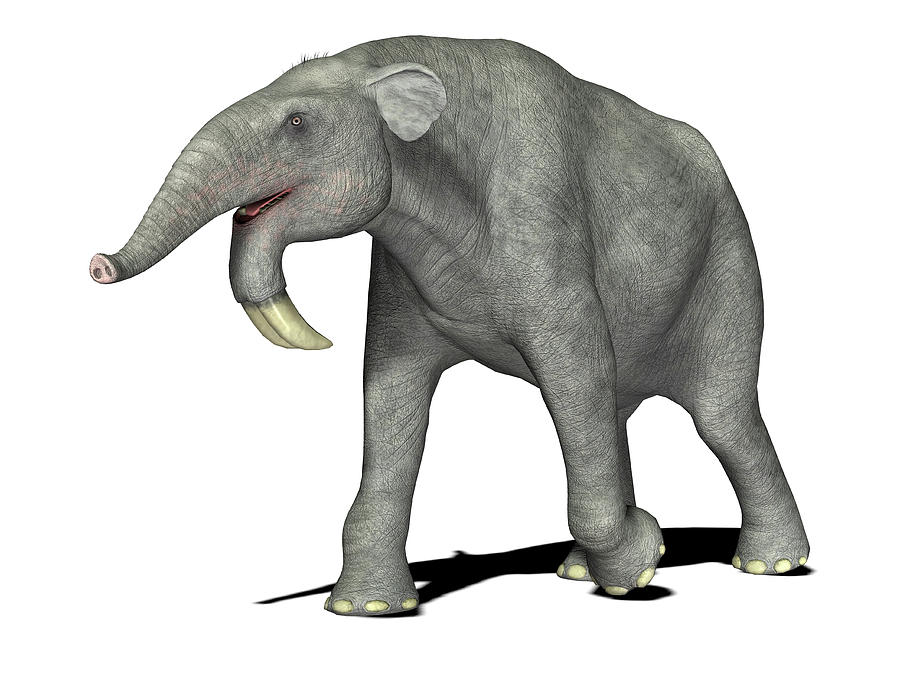 Deinotherium Royalty-Free Images, Stock Photos & Pictures