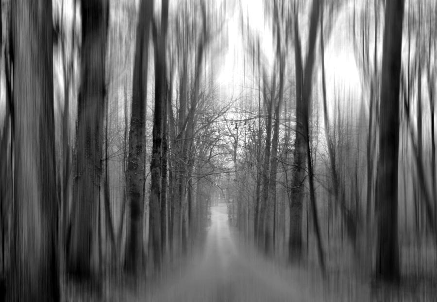 Black And White Photograph - Deja Vu by Diana Angstadt